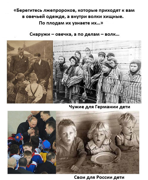 По плодам их узнаете их…