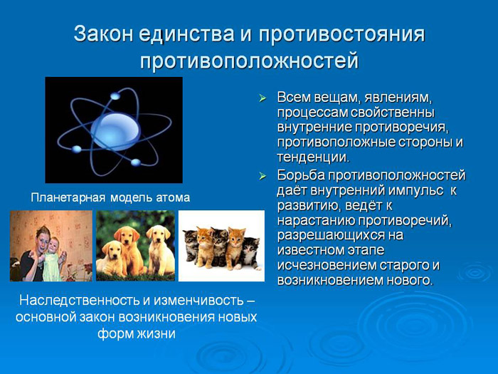 Единство и борьба противоположностей Единство и борьба противоположностей