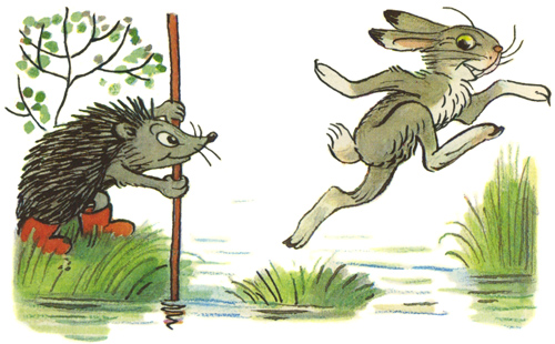 Кочки на болоте